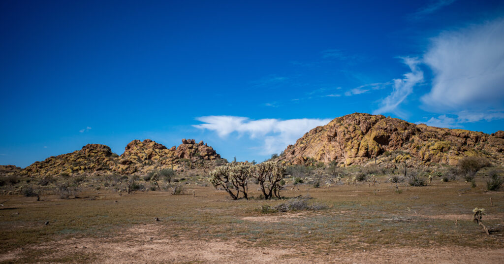 Hackberry Spring area along the backpacking loop
