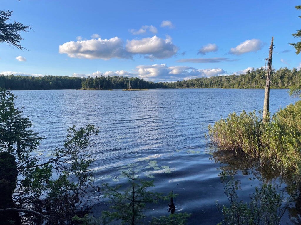 Bourn Pond framed by evergreen trees near the campsite