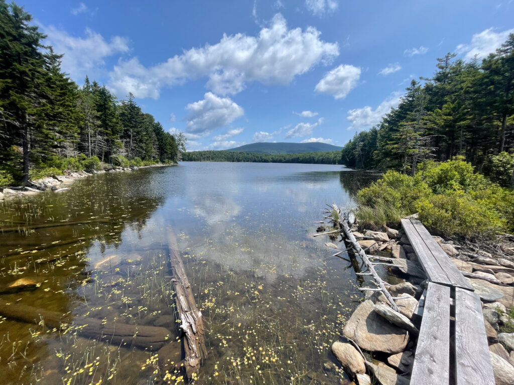 Wooden bog boards following the shoreline of Stratton Pond