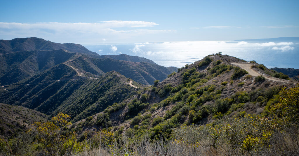 Ridgeline road crossing the dry hills of Catalina Island