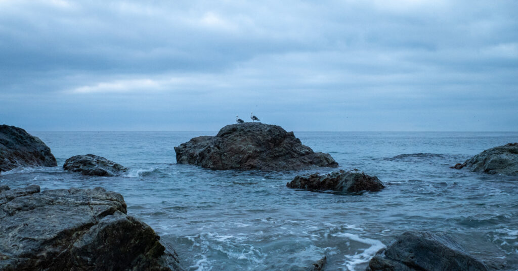 Seagulls resting on an offshore rock at Parsons Landing