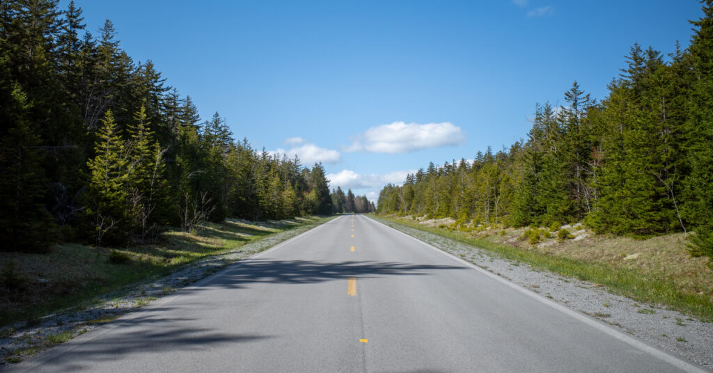 Empty Highland Scenic Highway bordered by evergreen forest near the Cranberry Wilderness trailhead