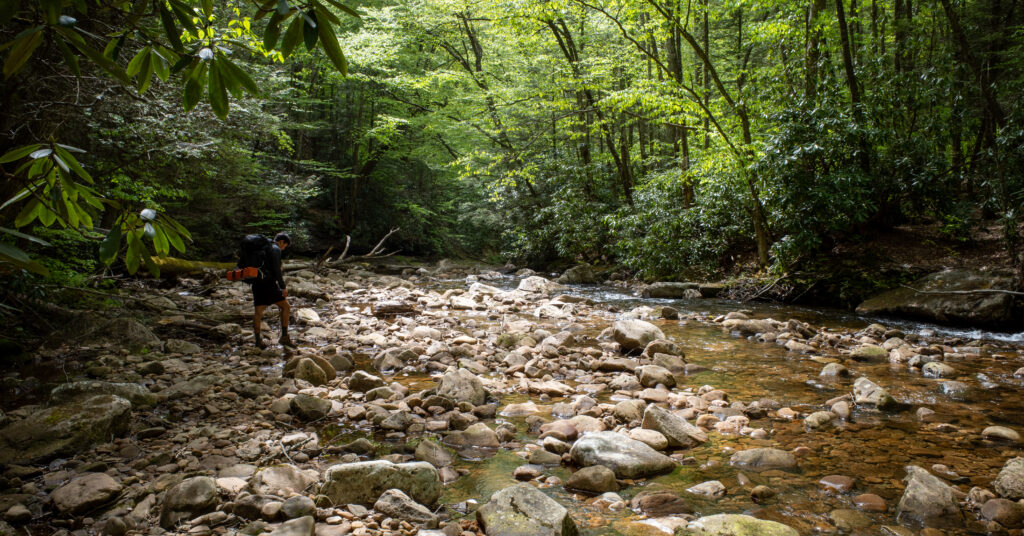 Backpacker picking a route across a broad rocky creek in dense green forest