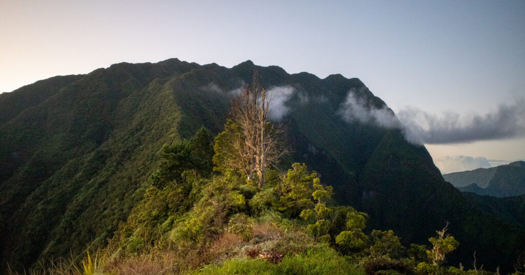 Sunrise light on the ridge trail above Fare Mato