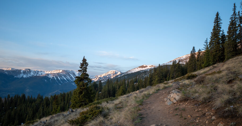 Mount Elbert trail crossing an open slope near treeline with snowy peaks beyond