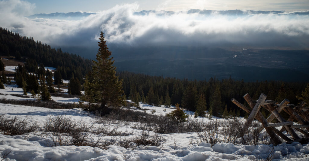 Snow-covered slope, evergreen forest, and low clouds below Mount Elbert's East Ridge