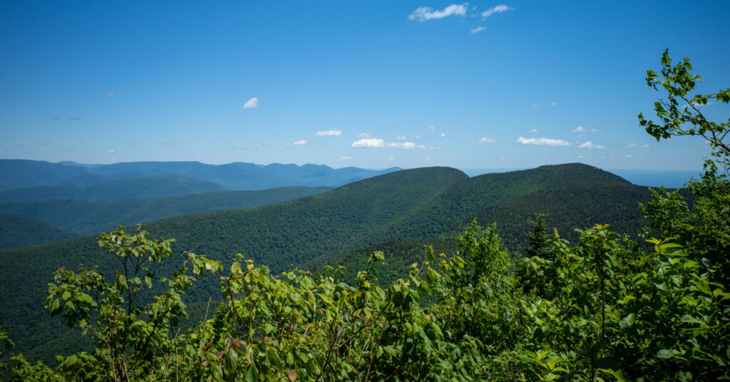 Forested Cornell and Wittenberg ridges seen from the climb to Slide Mountain