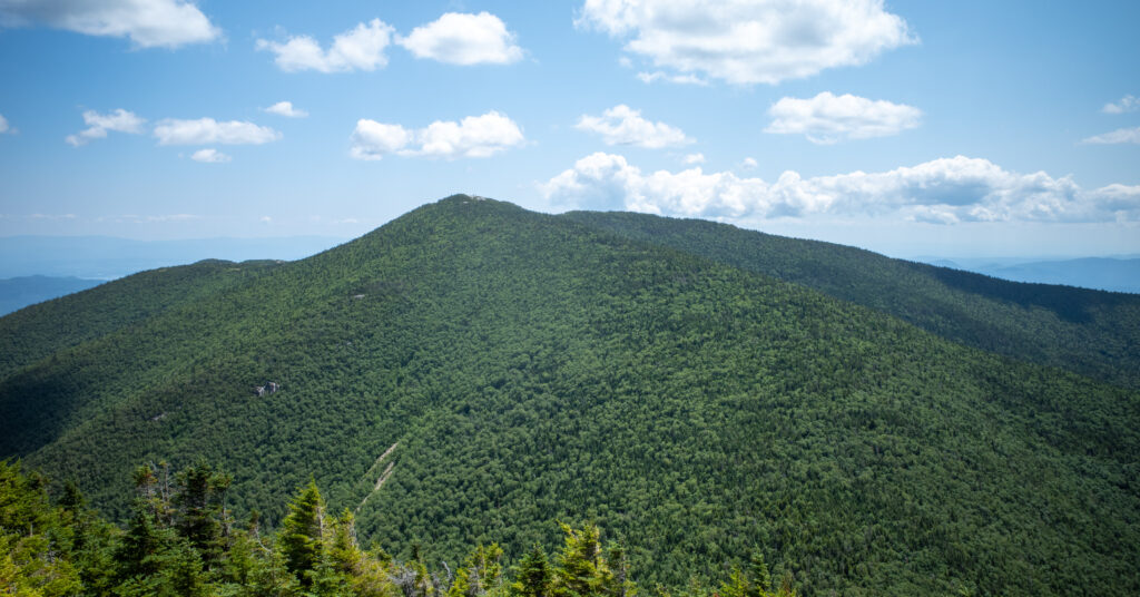 Forested Rocky Peak Ridge seen across the col during the return climb.
