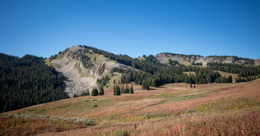 Red and green meadows below rocky, evergreen-covered ridges along Phillips Pass Trail